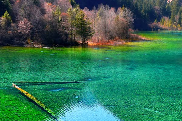 九寨归来不看水？这份三日攻略让你重新定义人间仙境！-第2张图片-四川省中国青年旅行社